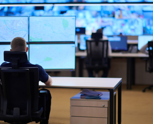 A Guide to Government Security Systems